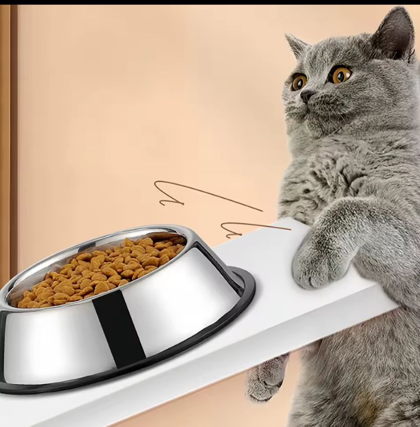 Comedero Plato Para Perros Y Gatos